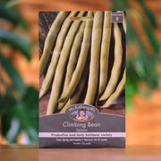 Bean - Climbing 'Epicure' seeds
